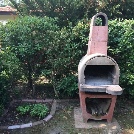 Sea, Garden, And Magical Harmony 利多尔德纳西奥尼
